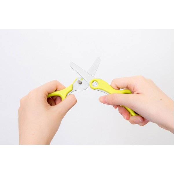 GREENBELL FOODS SCISSORS WITH CASE